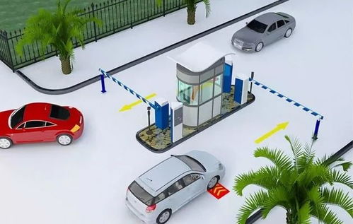 雙流區(qū)政府推出環(huán)保治理項目，破解停車難問題