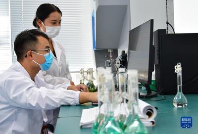 福建寧德:加大政策支持力度 助力新能源產(chǎn)業(yè)高質量發(fā)展