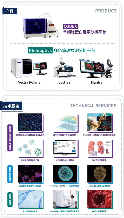cell 單細胞 多色免疫熒光技術(shù)在研究腫瘤疫苗新靶點中的應用