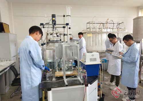 追夢綠水青山 看昆明理工大學(xué)科研團(tuán)隊如何低碳減排創(chuàng)發(fā)展